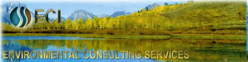 Expert Environmental Consulting and Assessment Services Michigan