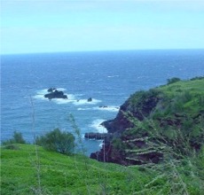 ECI Environmental