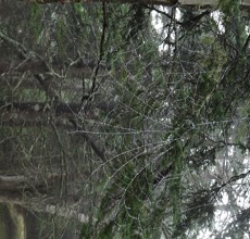 ECI Environmental
