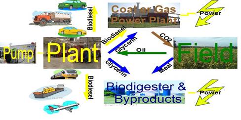 Biofuel and Biomass Projects